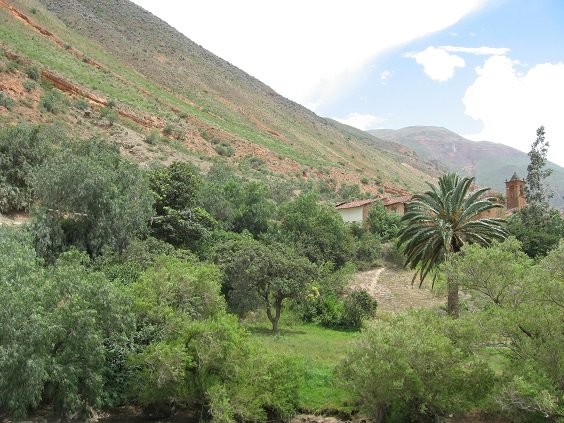 Rolling hills and endless skies inspire peace and adventure Rolling hills and endless skies inspire peace and adventure